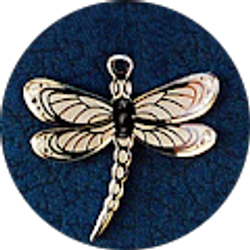 Profile photo of D Jackson (dragonflyart)