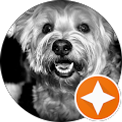 Profile photo of Jeremy Britto