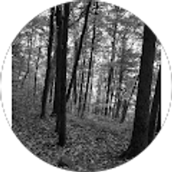 Profile photo of Rhonda Justis
