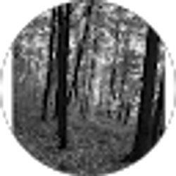 Profile photo of Rhonda Justis