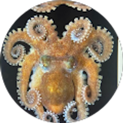 Profile photo of Anna Waddell