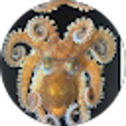 Profile photo of Anna Waddell