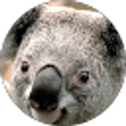 Profile photo of Debra Witt