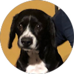 Profile photo of Maria Chimborazo