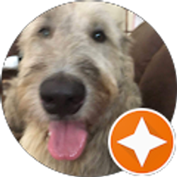 Profile photo of April Reynolds