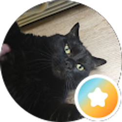 Profile photo of Coop's S