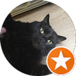 Profile photo of Coop's S