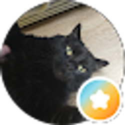 Profile photo of Coop's S