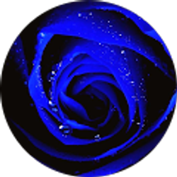 Profile photo of Diana Arroyo-Hernandez