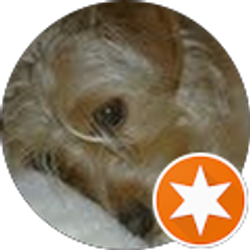 Profile photo of Lesa Green