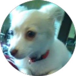 Profile photo of Rena Vinyard