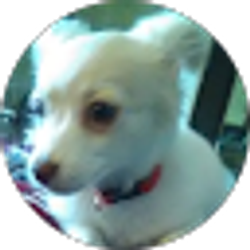 Profile photo of Rena Vinyard