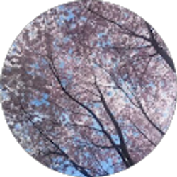 Profile photo of neta steele