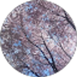 Profile photo of neta steele