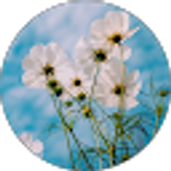 Profile photo of TriDzepDzai Dzep