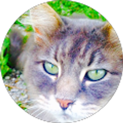 Profile photo of Jessie Geivett