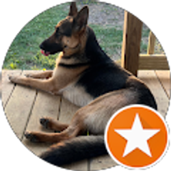 Profile photo of Orion’s Child717