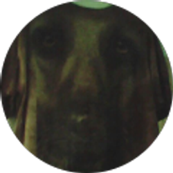 Profile photo of Kyla Hambright