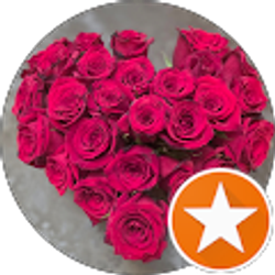 Profile photo of Emmaily Reynolds