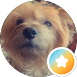 Profile photo of Paola