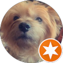 Profile photo of Paola Lecona