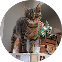 Profile photo of Sarah LaRue