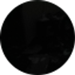 Profile photo of Derek Wilkinson
