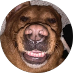 Profile photo of Anika Magula