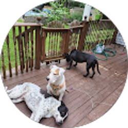 Profile photo of Kym Tobin