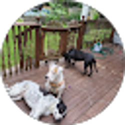 Profile photo of Kym Tobin