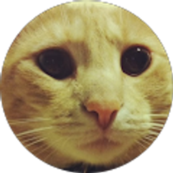 Profile photo of Gina Vetro