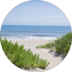 Profile photo of Hamma Hamma