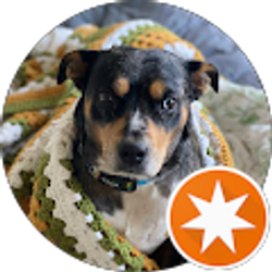 Profile photo of Alex Brown