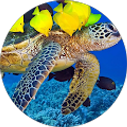 Profile photo of Stephanie Duran