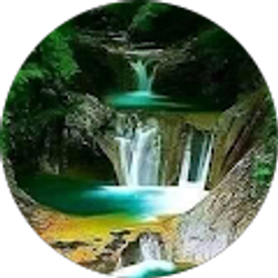 Profile photo of mitchell mchone