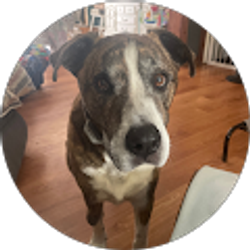Profile photo of Jerry Willing