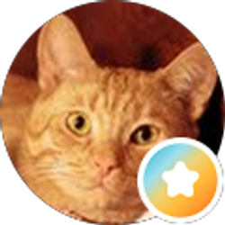 Profile photo of Michelle Schwerdtfeger