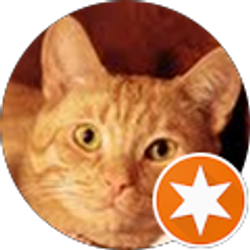 Profile photo of Michelle Schwerdtfeger