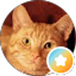 Profile photo of Michelle Schwerdtfeger