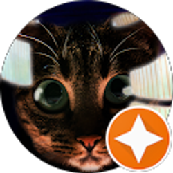 Profile photo of Matt Freitag