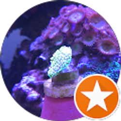 Profile photo of Jeff Isherwood