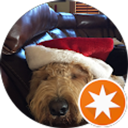 Profile photo of Geo Sanchez