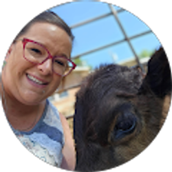 Profile photo of Jamie Weast