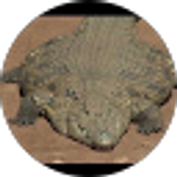 Profile photo of Skiddlywinks
