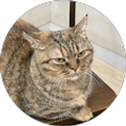 Profile photo of jackerlin