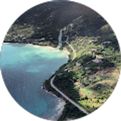 Profile photo of Shennel Taylor