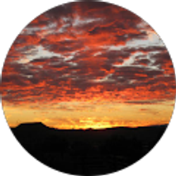 Profile photo of Virginia McCann