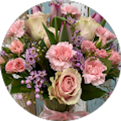 Profile photo of diane torres castaneda