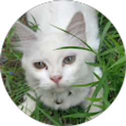 Profile photo of Makayla Preston