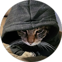 Profile photo of Jason Campos